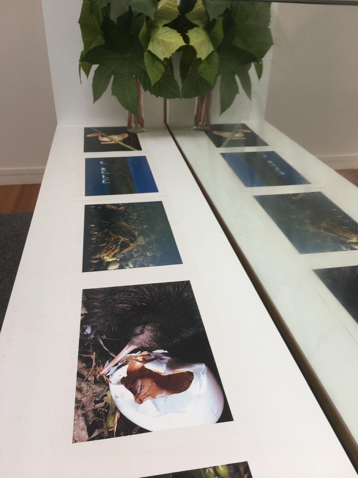 1000044926