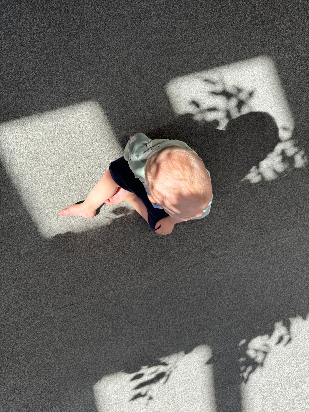 1000045339